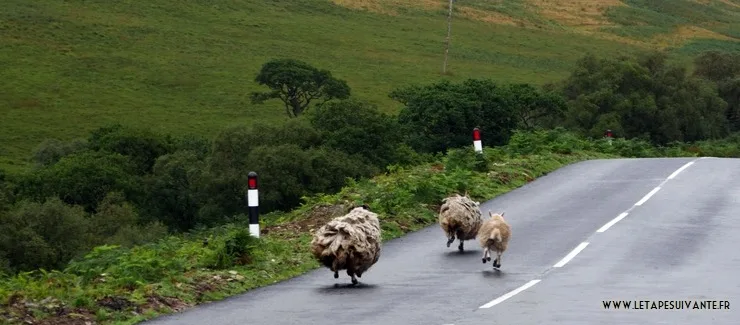 Louer une voiture en Écosse