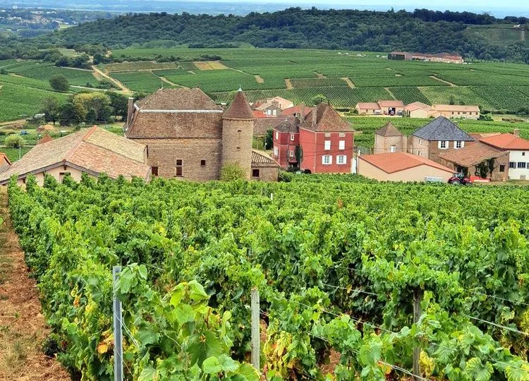 Visiter la Bourgogne du Sud et le clunisois